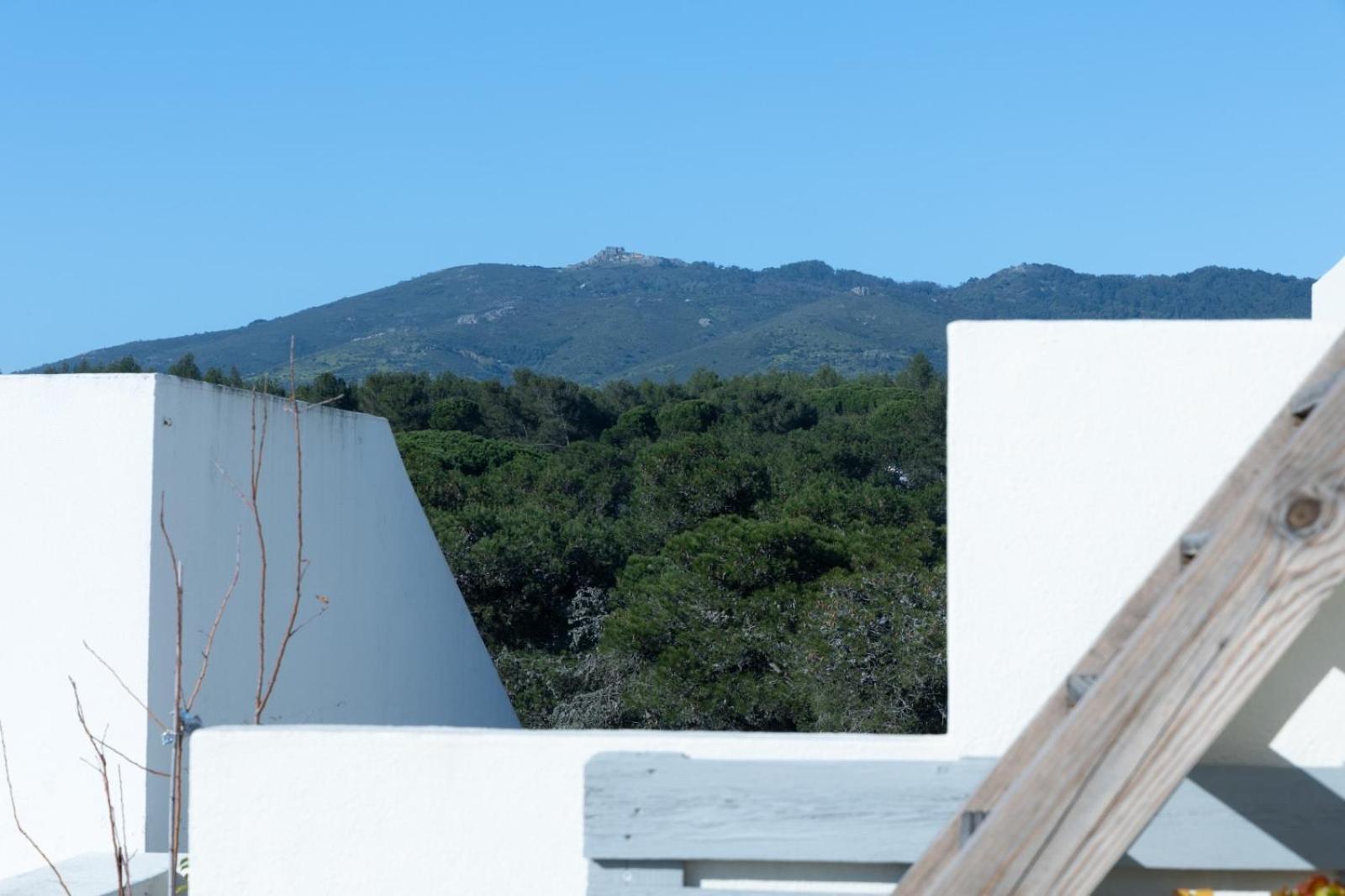 Roots House * Cascais